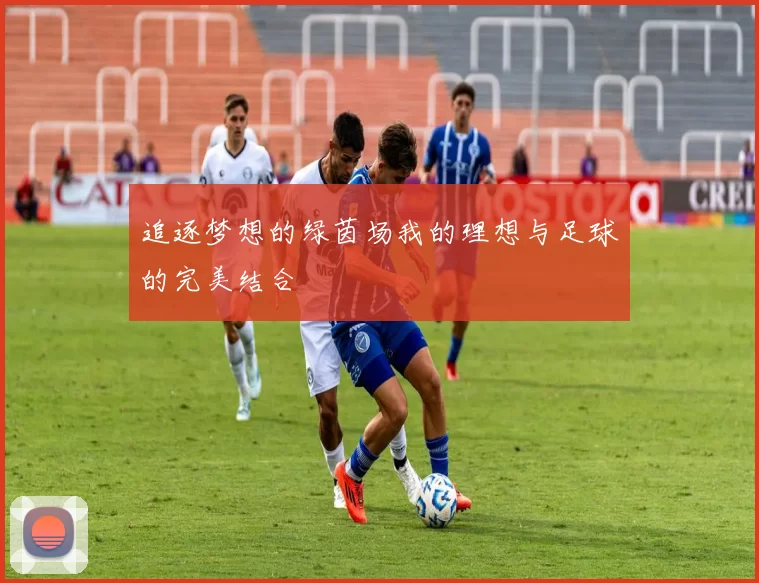 追逐梦想的绿茵场我的理想与足球的完美结合