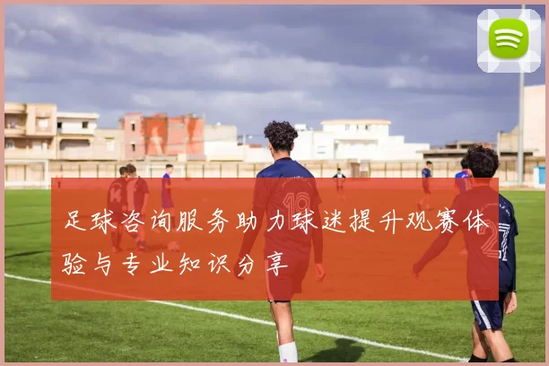 足球咨询服务助力球迷提升观赛体验与专业知识分享