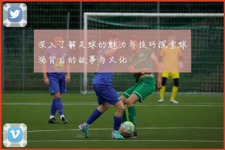 深入了解足球的魅力与技巧探索球场背后的故事与文化