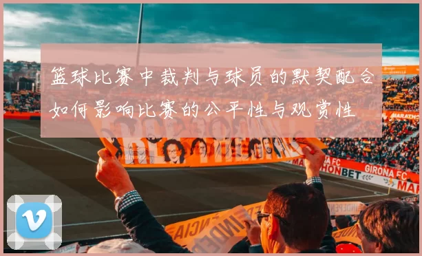 篮球比赛中裁判与球员的默契配合如何影响比赛的公平性与观赏性