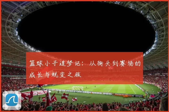 篮球小子追梦记：从街头到赛场的成长与蜕变之旅