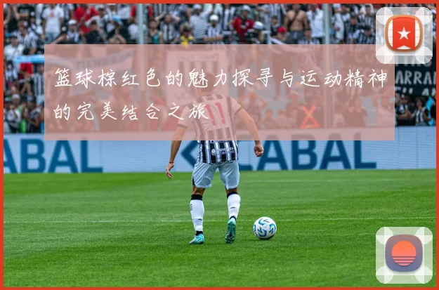 篮球棕红色的魅力探寻与运动精神的完美结合之旅